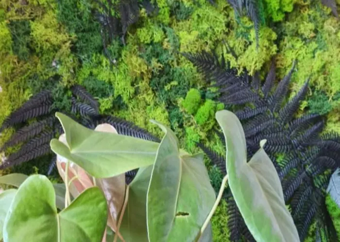 Keja 13 - Port Kwatera prywatna